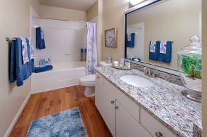Two Bedroom Apartments for Rent in Conroe, TX - Model  Bathroom